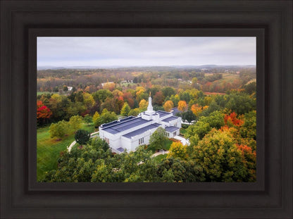 Palmyra and Sacred Grove Aerial