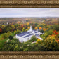 Palmyra and Sacred Grove Aerial