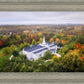 Palmyra and Sacred Grove Aerial
