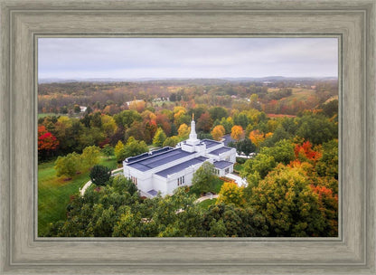 Palmyra and Sacred Grove Aerial