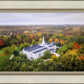 Palmyra and Sacred Grove Aerial