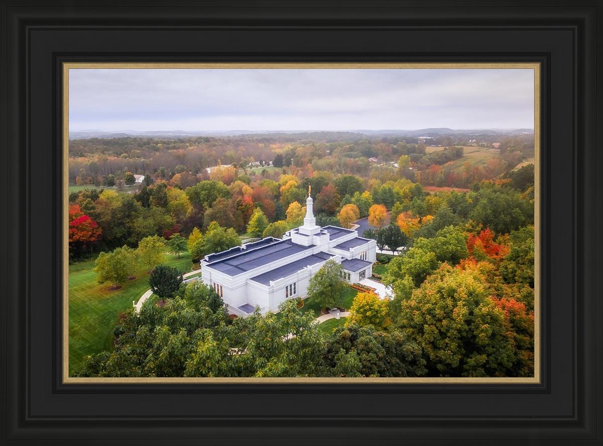 Palmyra and Sacred Grove Aerial