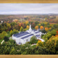 Palmyra and Sacred Grove Aerial