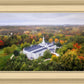 Palmyra and Sacred Grove Aerial