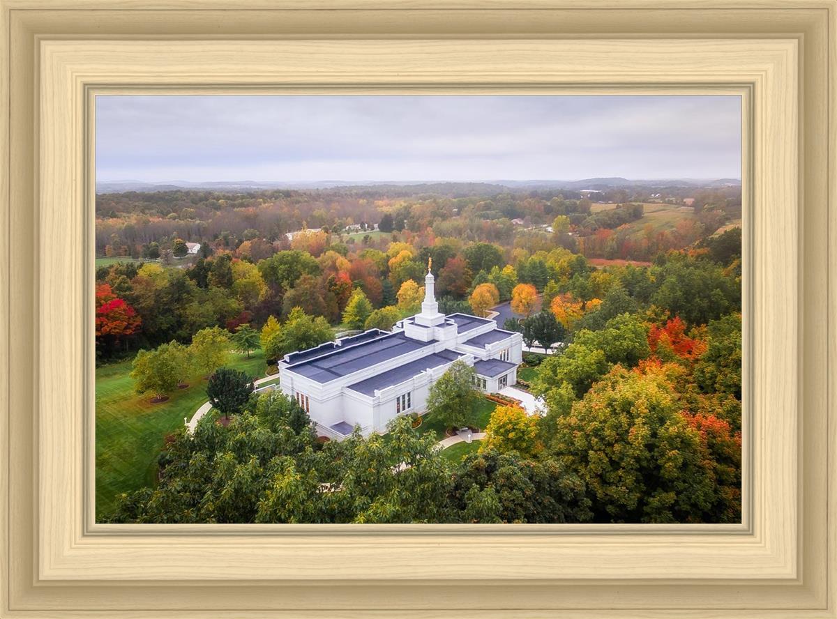 Palmyra and Sacred Grove Aerial