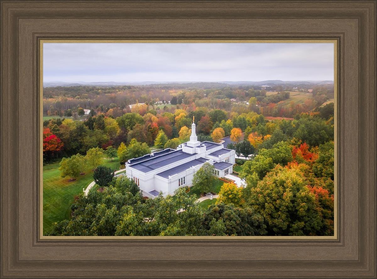 Palmyra and Sacred Grove Aerial