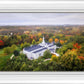 Palmyra and Sacred Grove Aerial