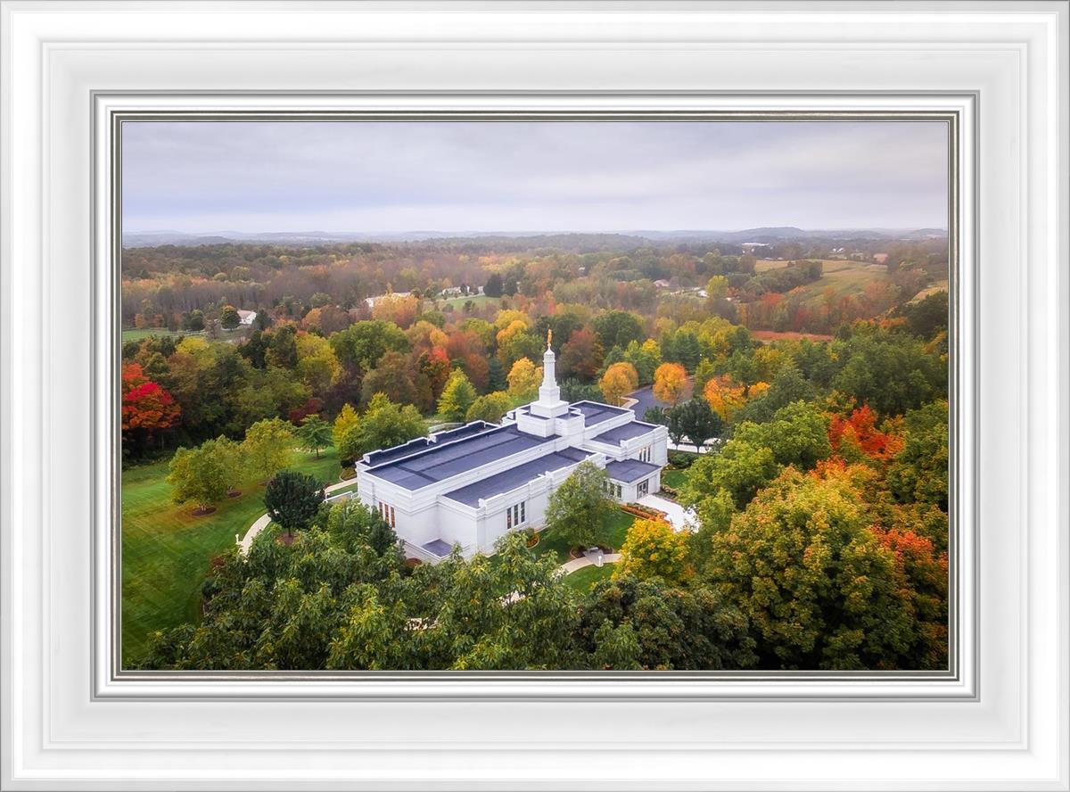 Palmyra and Sacred Grove Aerial