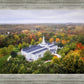 Palmyra and Sacred Grove Aerial