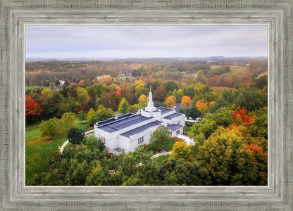 Palmyra and Sacred Grove Aerial