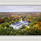 Palmyra and Sacred Grove Aerial