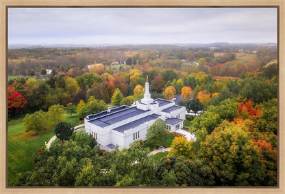 Palmyra and Sacred Grove Aerial