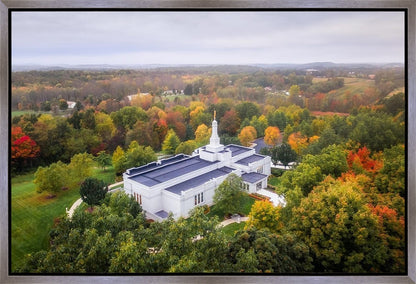 Palmyra and Sacred Grove Aerial