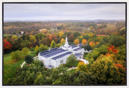 Palmyra and Sacred Grove Aerial