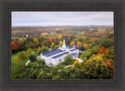 Palmyra and Sacred Grove Aerial