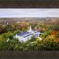 Palmyra and Sacred Grove Aerial