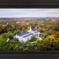 Palmyra and Sacred Grove Aerial
