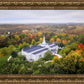 Palmyra and Sacred Grove Aerial