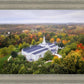 Palmyra and Sacred Grove Aerial