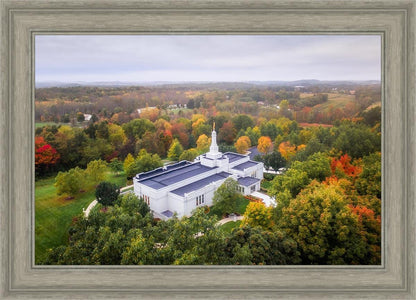 Palmyra and Sacred Grove Aerial