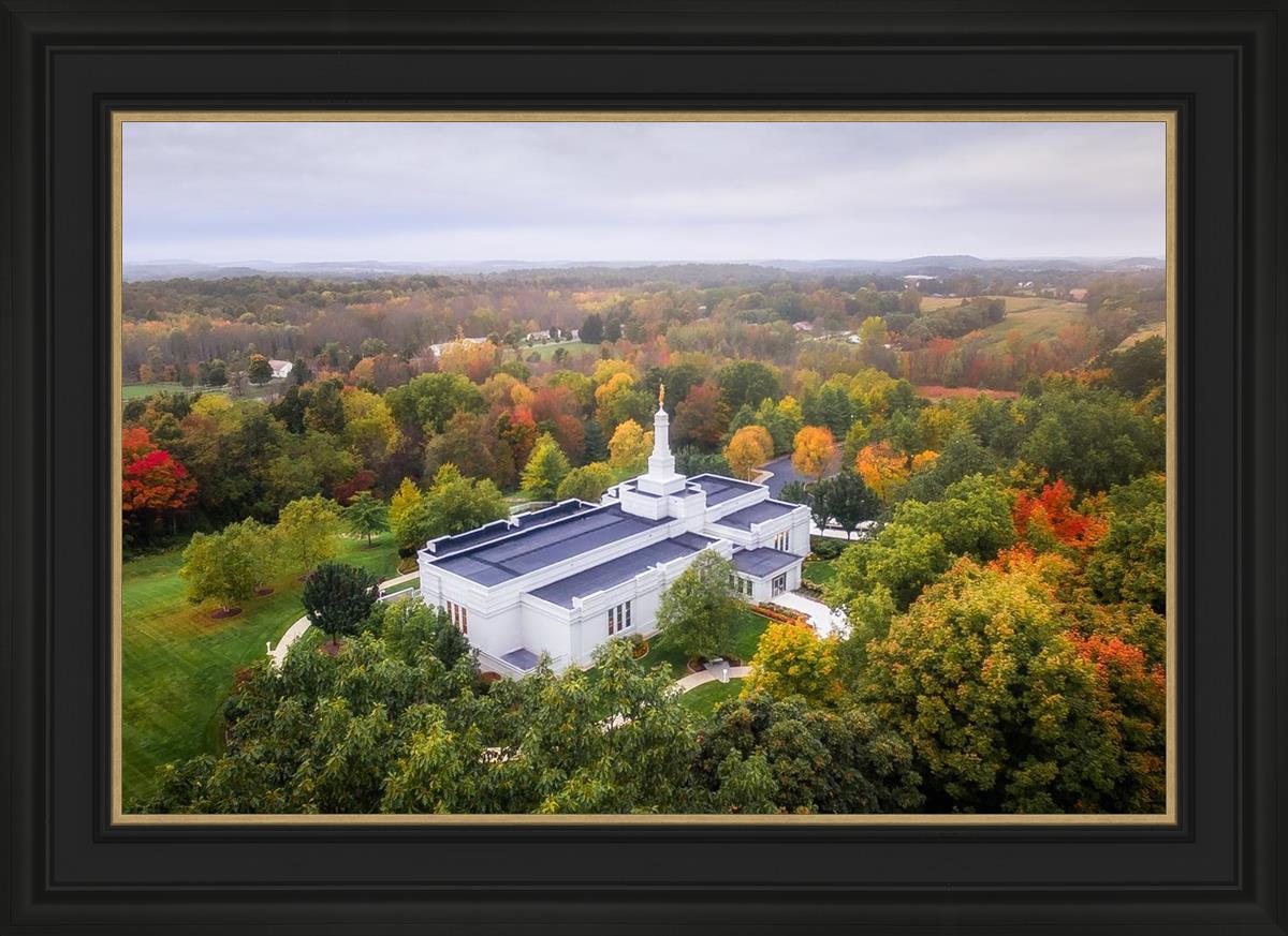 Palmyra and Sacred Grove Aerial