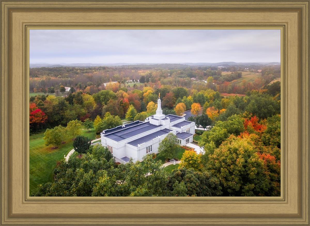 Palmyra and Sacred Grove Aerial