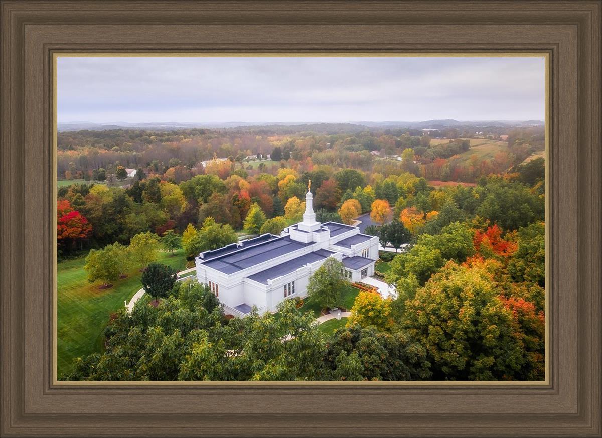 Palmyra and Sacred Grove Aerial