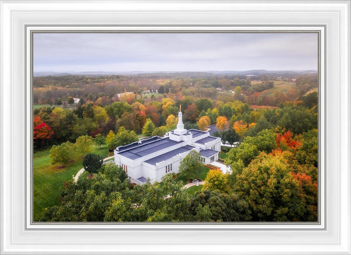 Palmyra and Sacred Grove Aerial