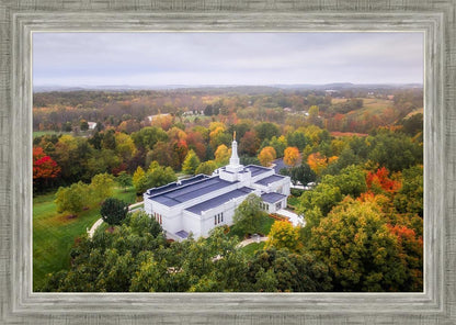 Palmyra and Sacred Grove Aerial