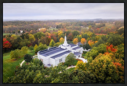 Palmyra and Sacred Grove Aerial