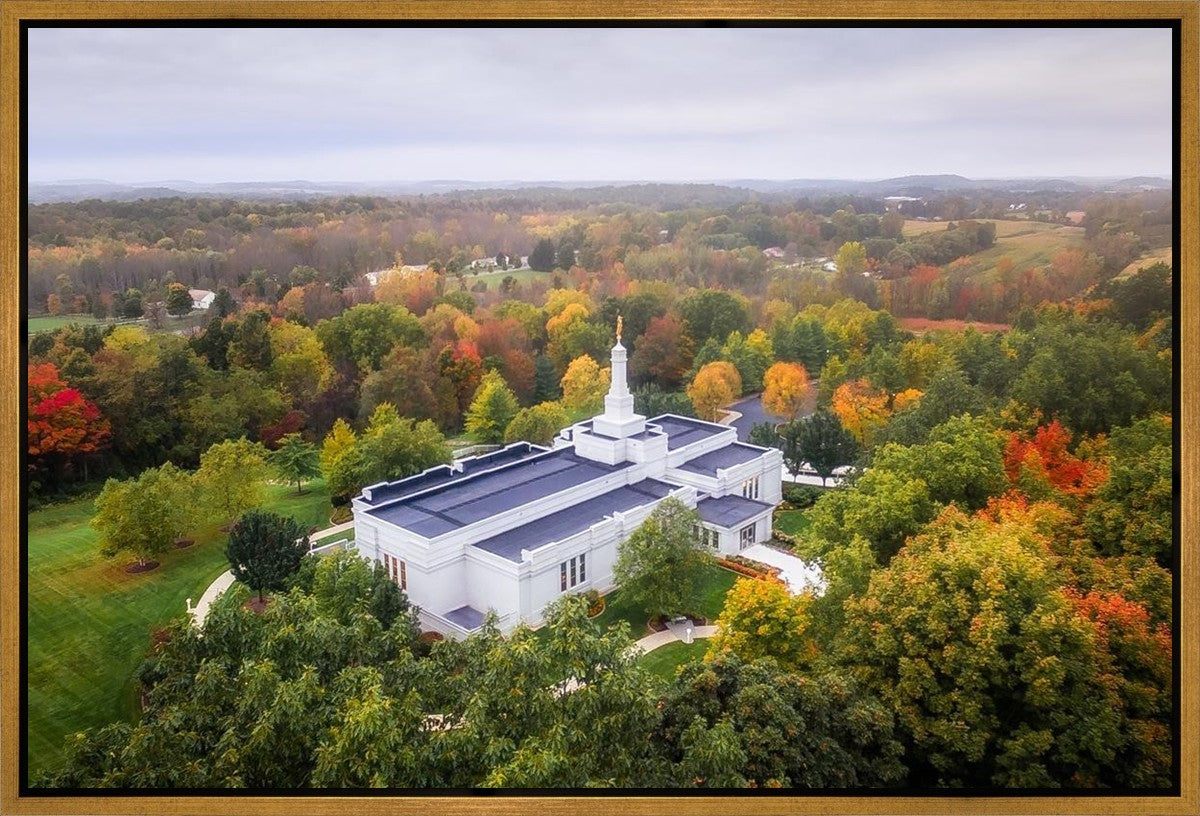 Palmyra and Sacred Grove Aerial