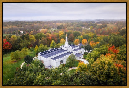 Palmyra and Sacred Grove Aerial