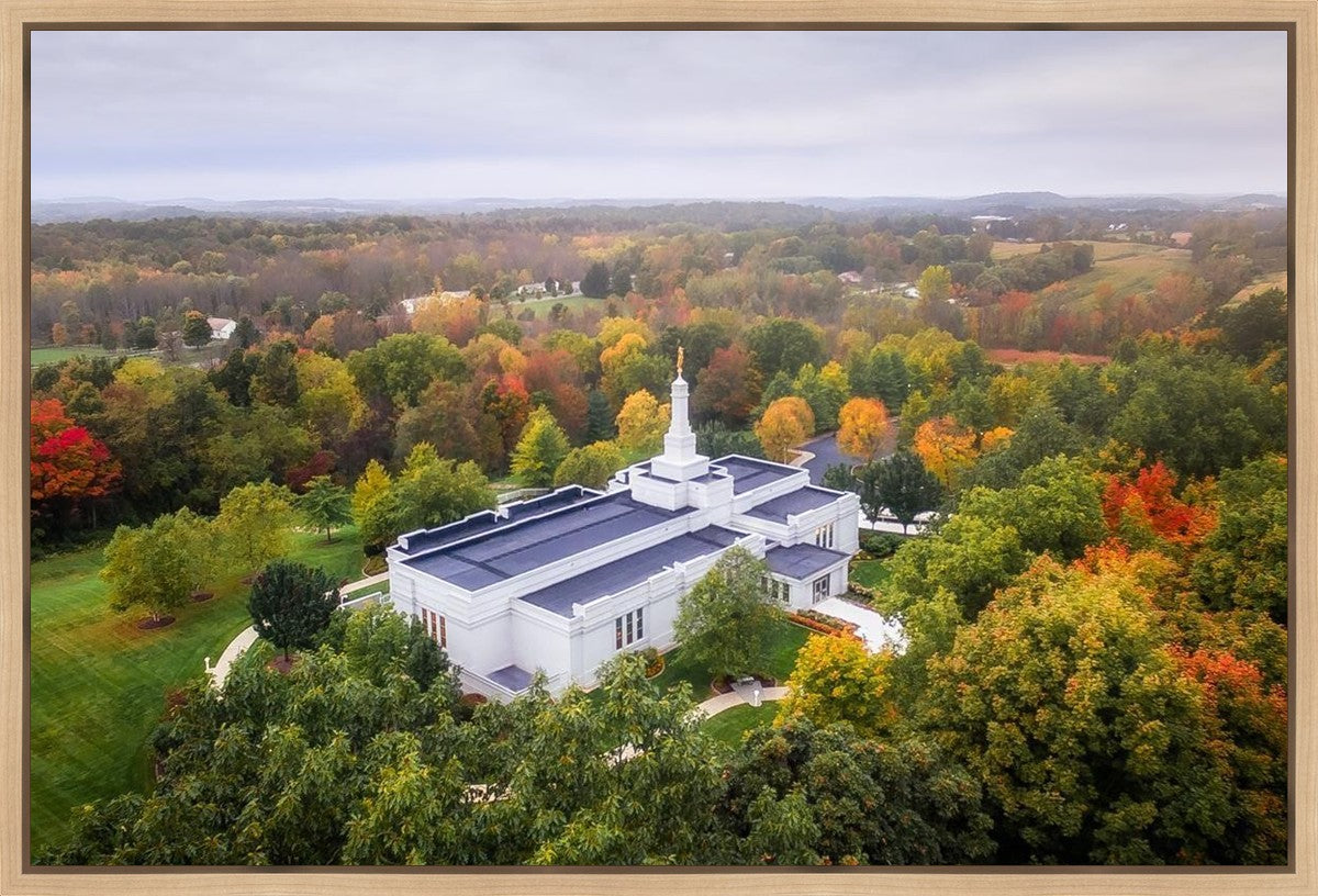 Palmyra and Sacred Grove Aerial