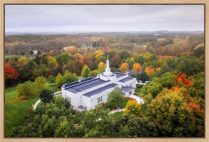 Palmyra and Sacred Grove Aerial