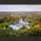 Palmyra and Sacred Grove Aerial