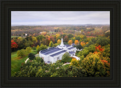 Palmyra and Sacred Grove Aerial