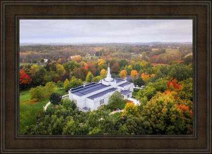 Palmyra and Sacred Grove Aerial