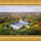 Palmyra and Sacred Grove Aerial