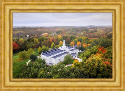 Palmyra and Sacred Grove Aerial