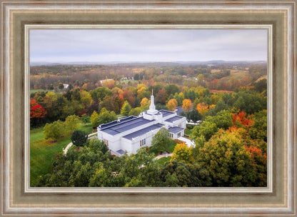 Palmyra and Sacred Grove Aerial