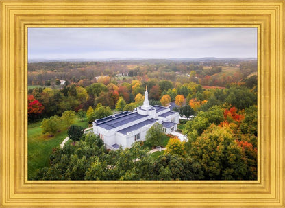 Palmyra and Sacred Grove Aerial