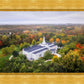 Palmyra and Sacred Grove Aerial