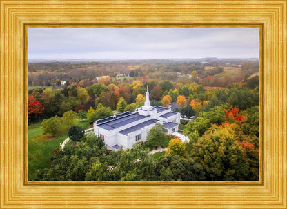 Palmyra and Sacred Grove Aerial