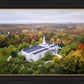 Palmyra and Sacred Grove Aerial