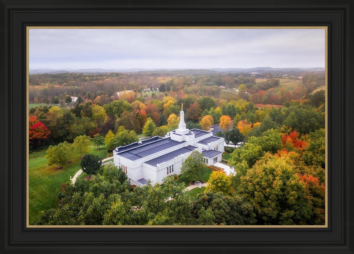 Palmyra and Sacred Grove Aerial