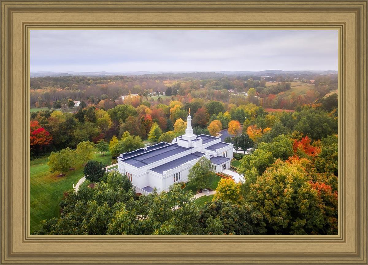 Palmyra and Sacred Grove Aerial
