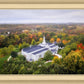 Palmyra and Sacred Grove Aerial