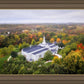 Palmyra and Sacred Grove Aerial