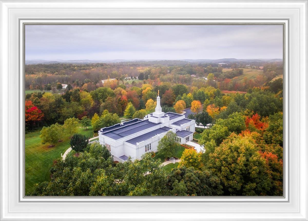 Palmyra and Sacred Grove Aerial