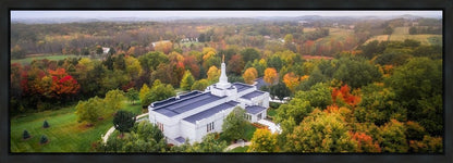 Palmyra and Sacred Grove Aerial